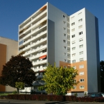 turmallee_shiftn_goldregen.jpg